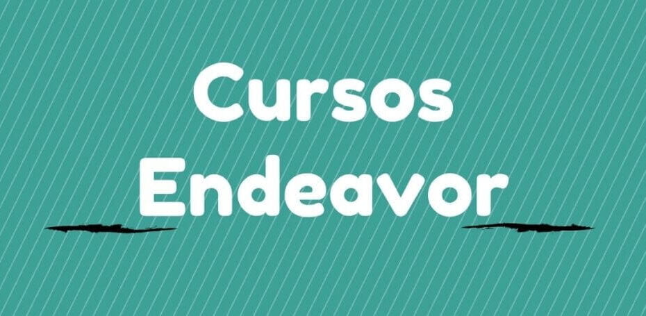 Melhores Cursos Online Oferecidos Pela Endeavor