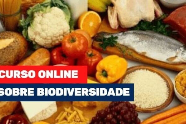cursinho online
