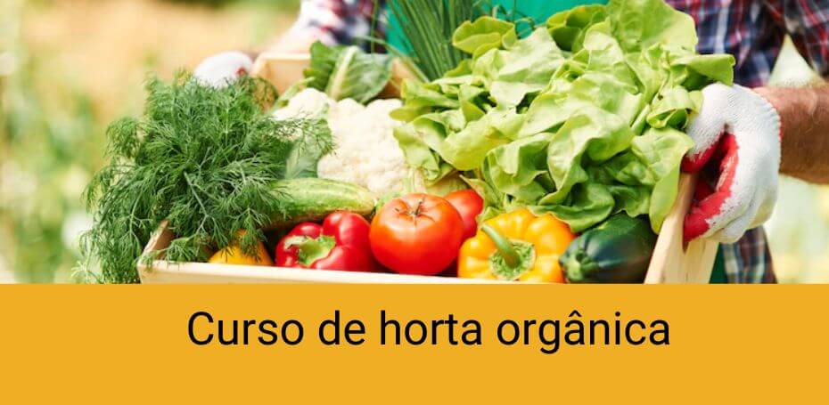 Curso de horta organica online