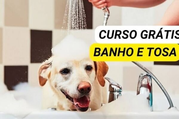banho e tosa
