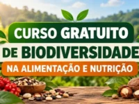 Cursinho online