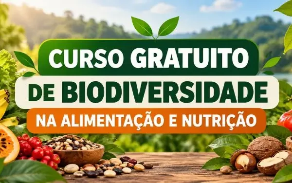 Cursinho online